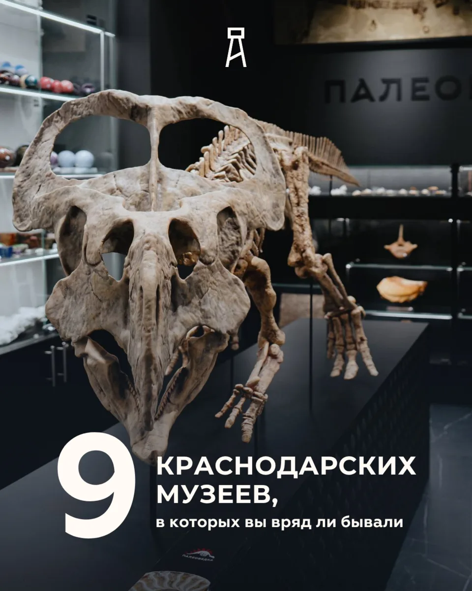 ДЕВЯТЬ КРАСНОДАРСКИХ МУЗЕЕВ,