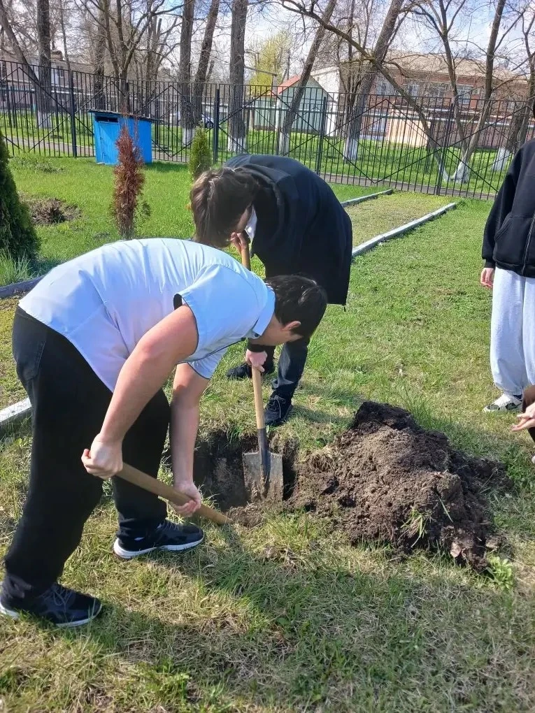 🌲 В нашей школе стартовала акция «Дерево жизни» в честь Дня древонасаждения, и она пол...