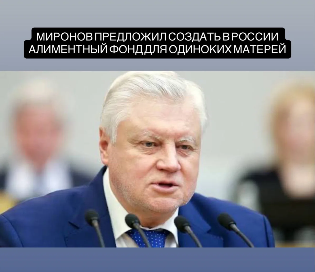 Сергей Миронов предложил установить минимальные алименты на уровне прожиточного минимума и создать в