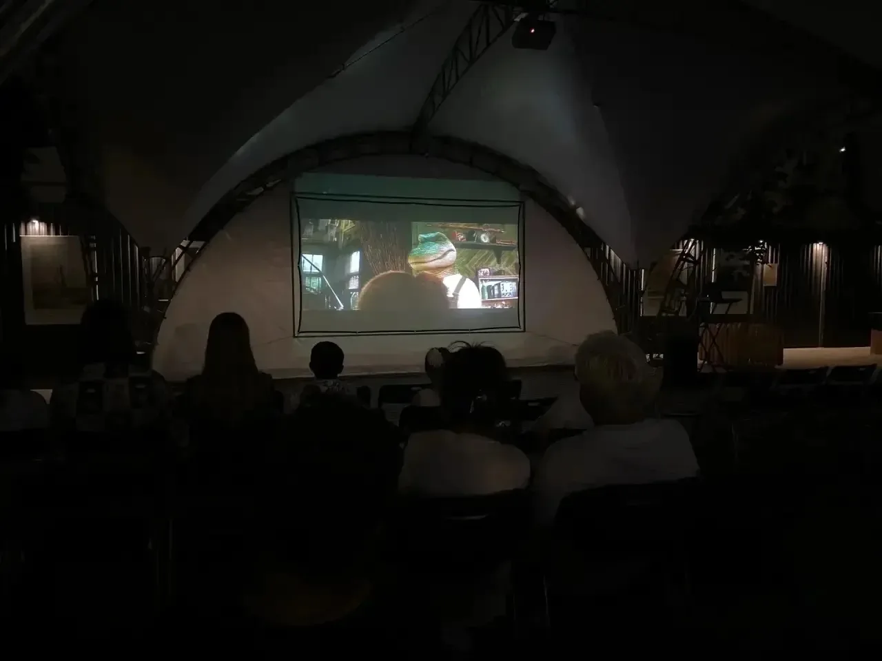 🎥🇷🇺 В Краснодарском крае прошла 11-я Всероссийская акция «Ночь кино». 413 площадок п...