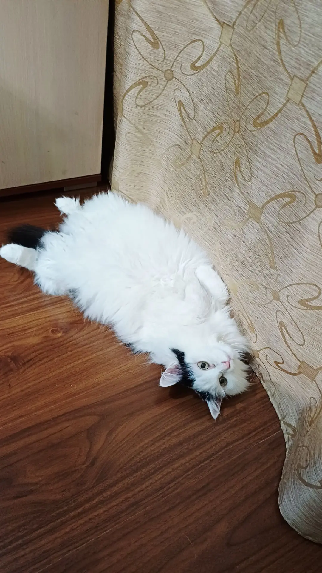 Всем уютного доброго вечера! За Снежей не повторять😄 Хотя если желаете, попробуйте😄🤗