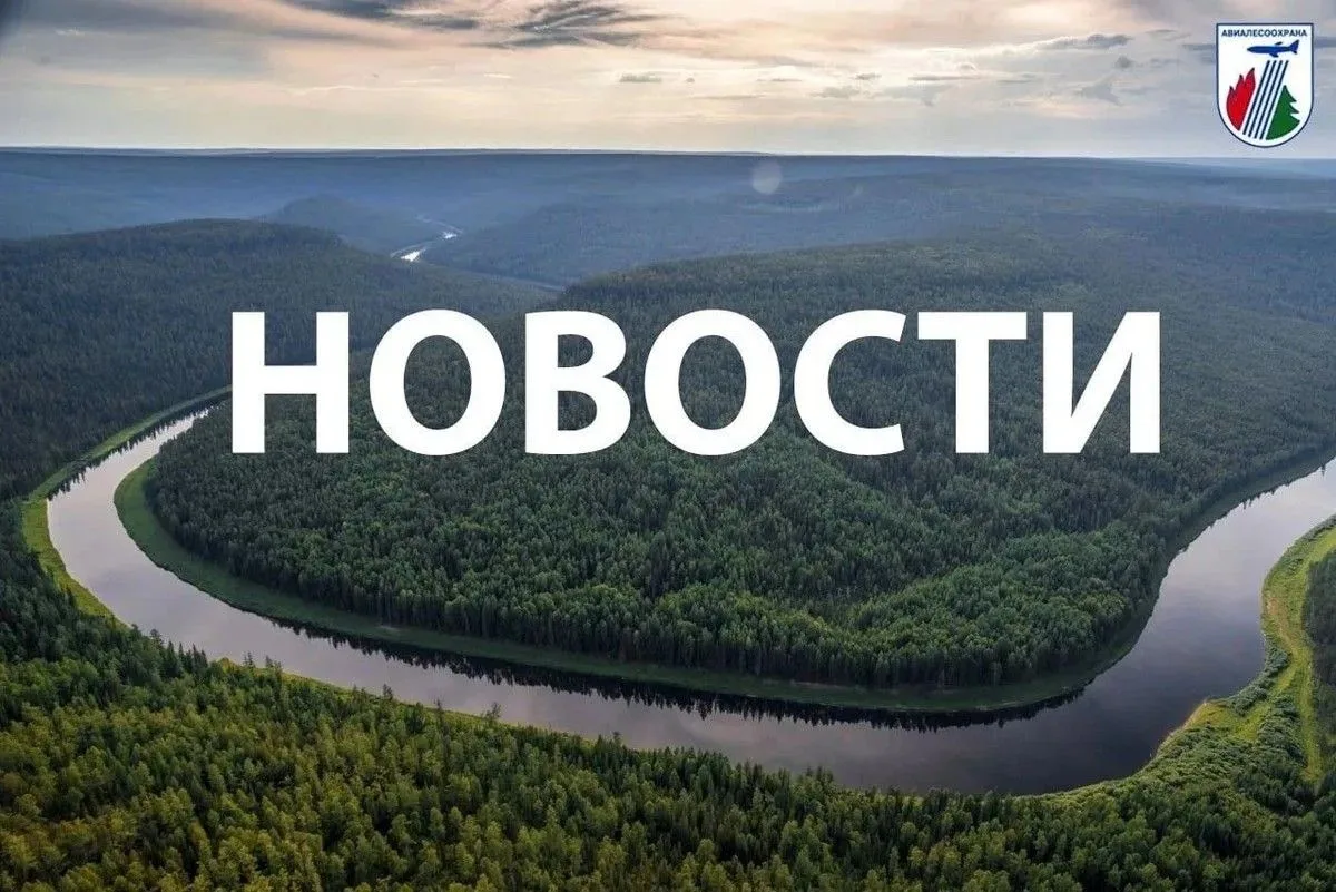 НОВОСТИ СМИ за неделю, в том числе о работе парашютистов-десантников Авиалесоохраны, ок...