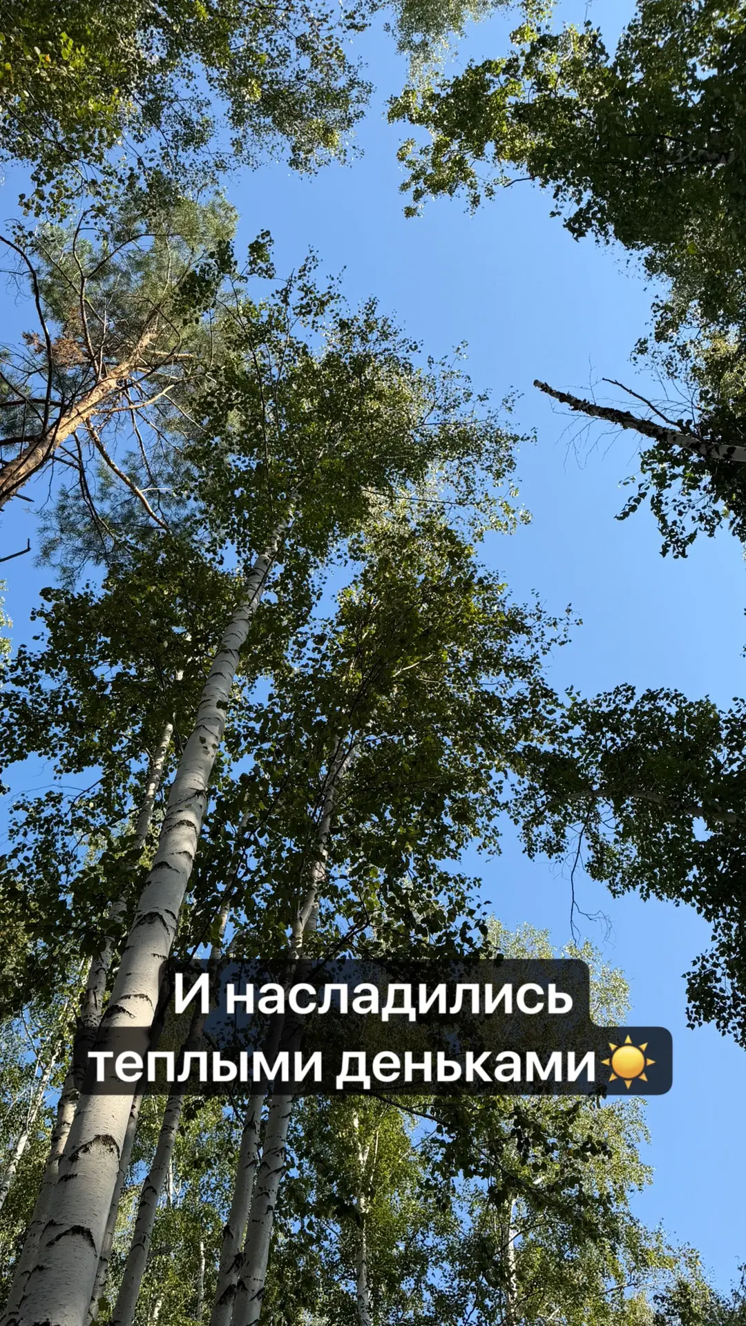 Наши выходные в картинках. Кажется лето заканчивается и мы решили успеть сразу все😆