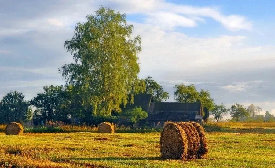 🌾Соблюдайте правила пожарной безопасности во время сенокосов 🍂