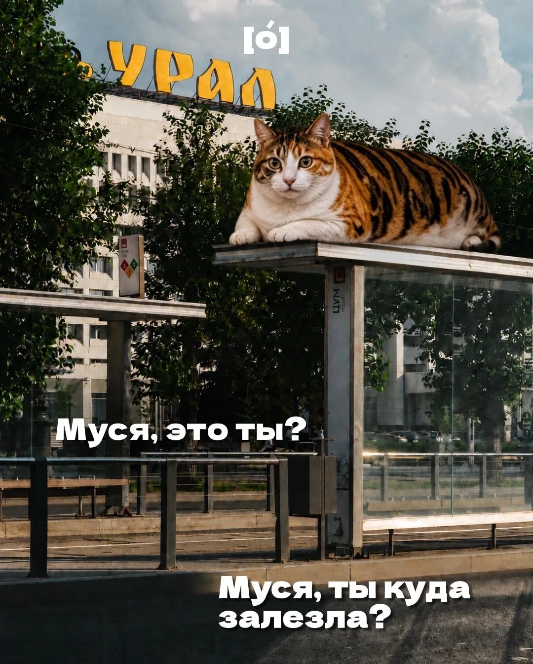 Муся, ну ты куда??? 😭
