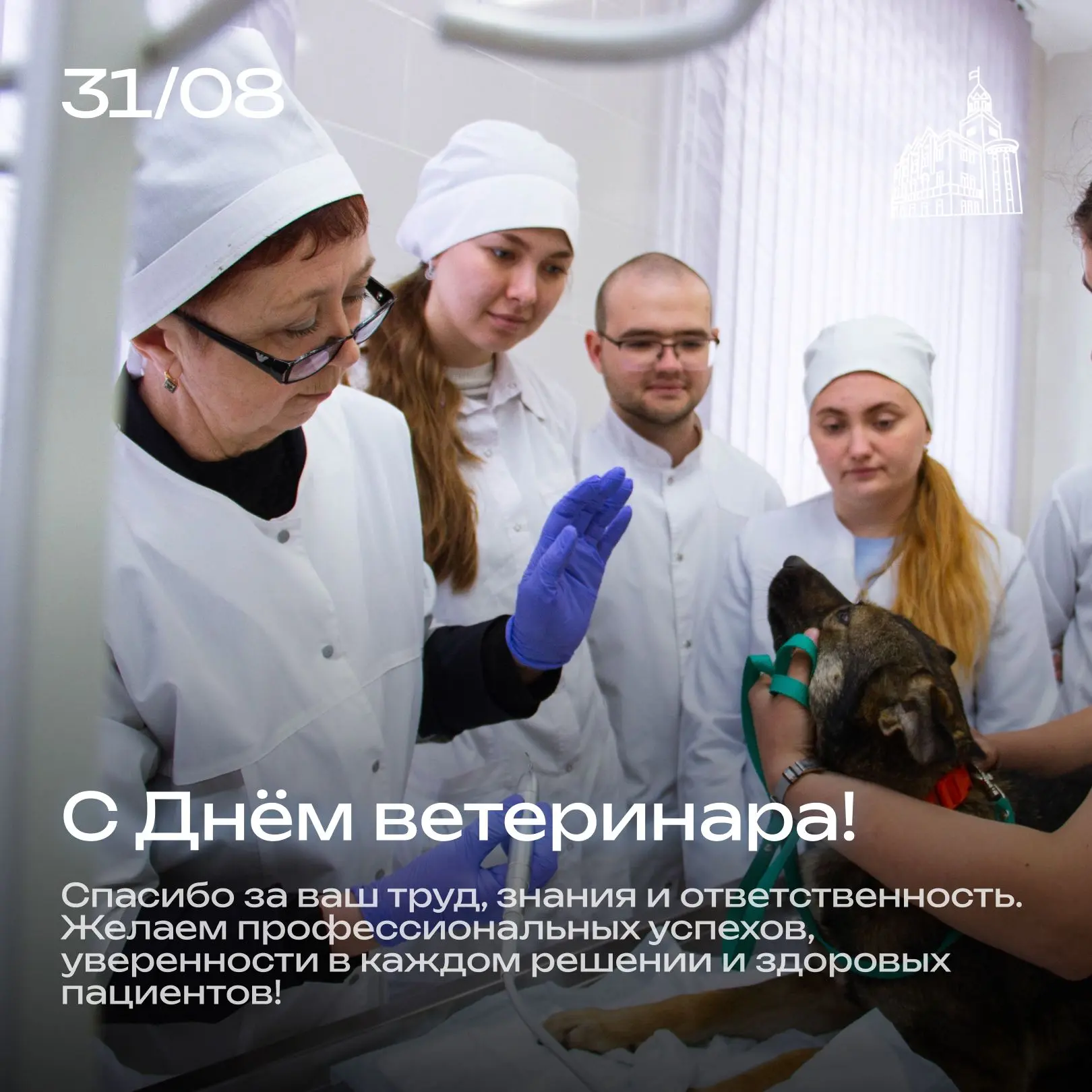 31 августа — День ветеринарного работника 🩺🐾
