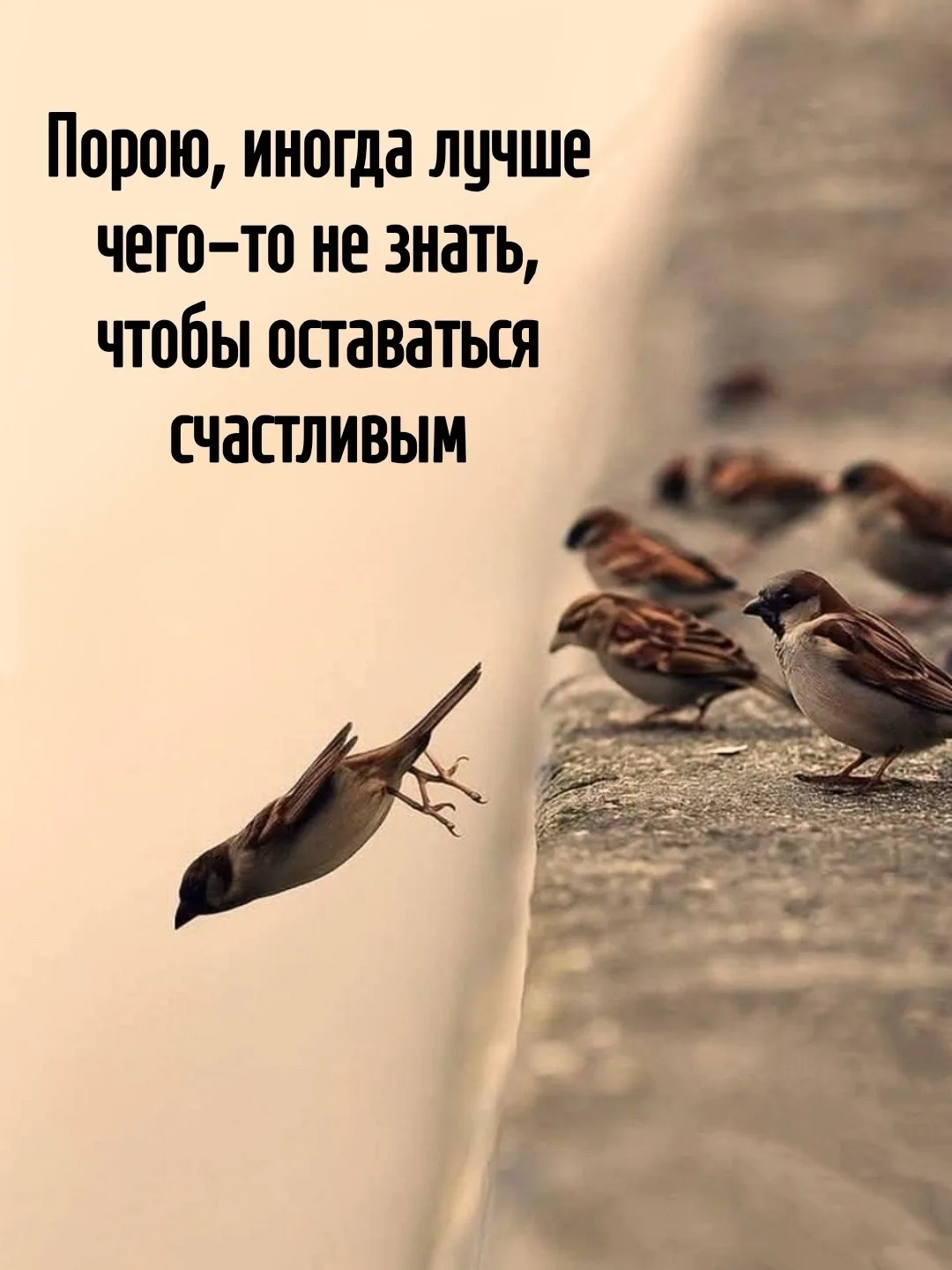 Цитаты жизни