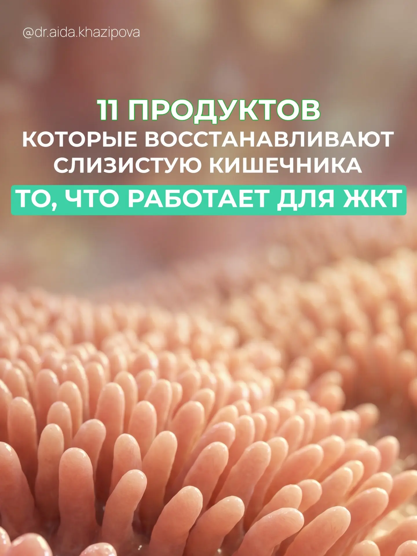 Ⓜ️ Канал МАХ