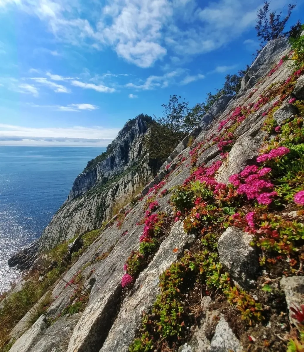 Природа - лучший художник 🏞️