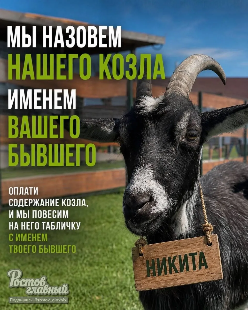 🐐 Парк предложил дамам оплатить содержание козла, а взамен на него повесят табличку с ...