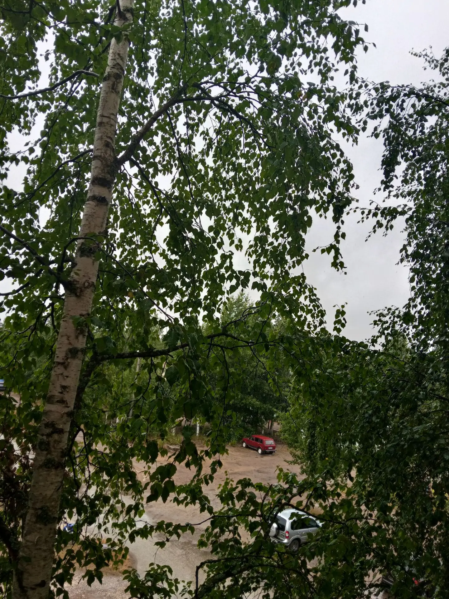 Дождливое настроение. Сегодня решила помолчать. 😌
