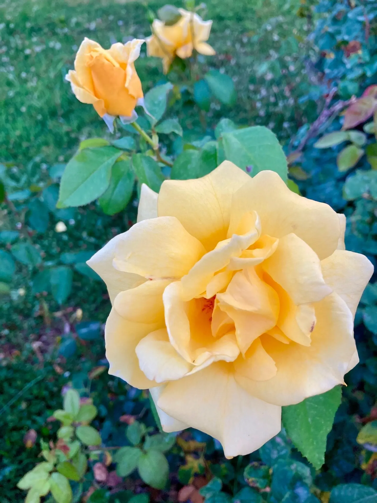 ТУРЦИЯ 💖