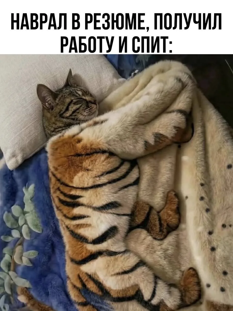 🦥 Ленивый вайб-программист