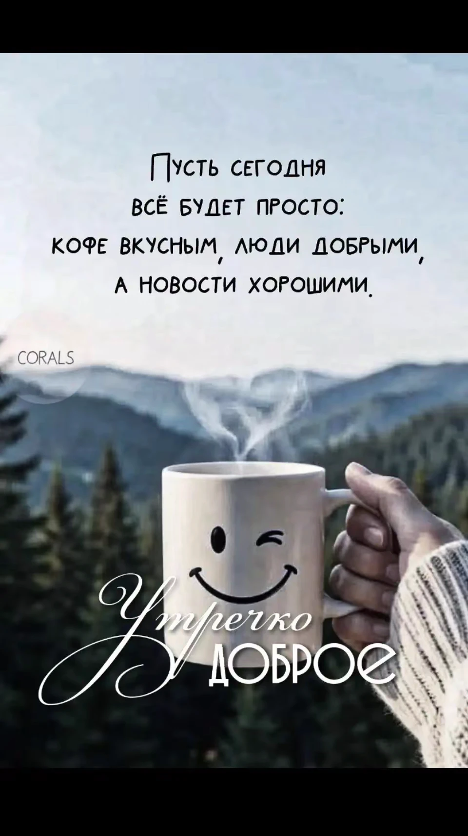 Цитаты 😉