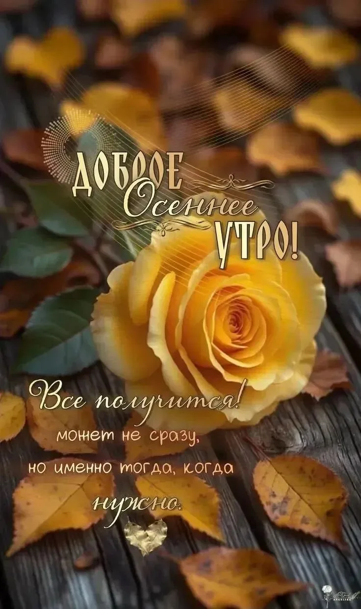 И пусть ваш день будет раскрашен теплыми  красками осени!..