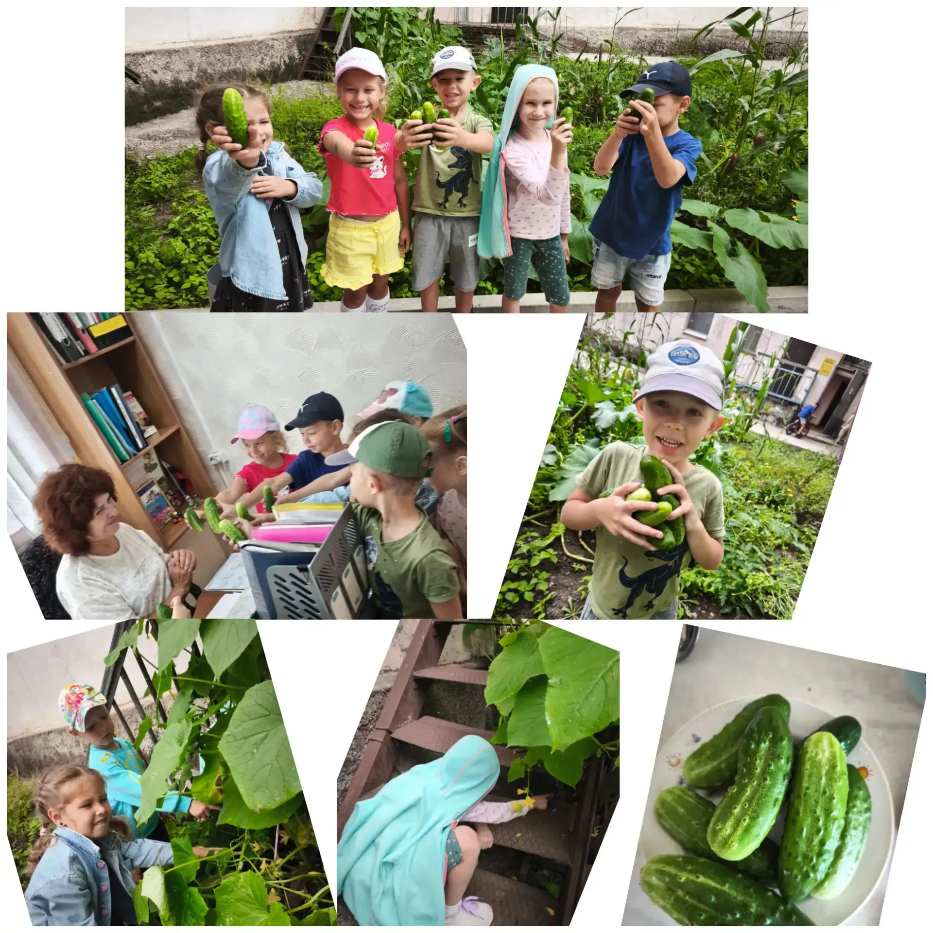 3eленый orypeц-