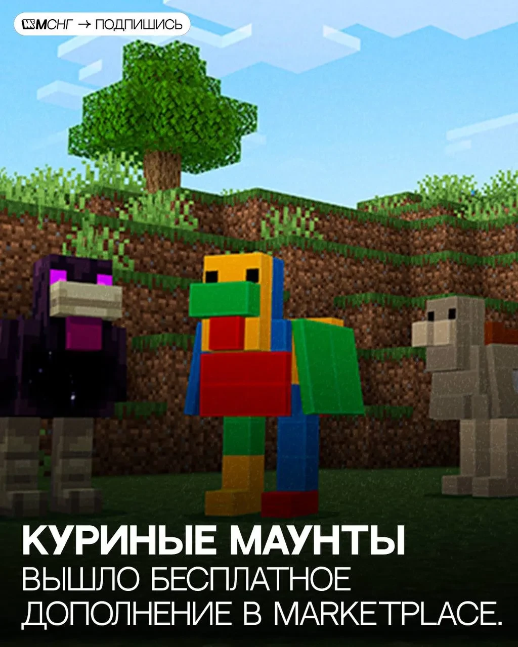 Куриные маунты 🐓