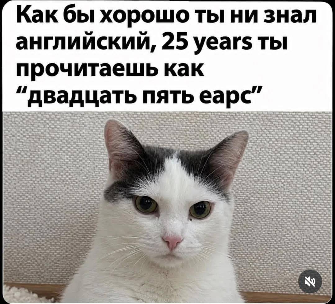 И правда 😂😂