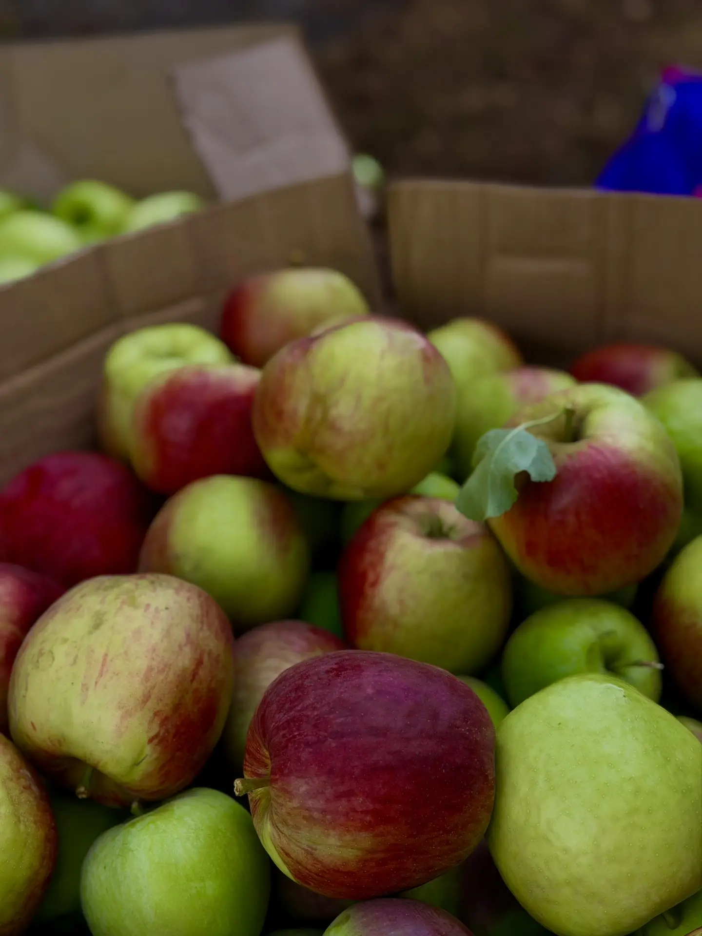 🍎 Уважаемые жители города Суджи и Суджанского района!