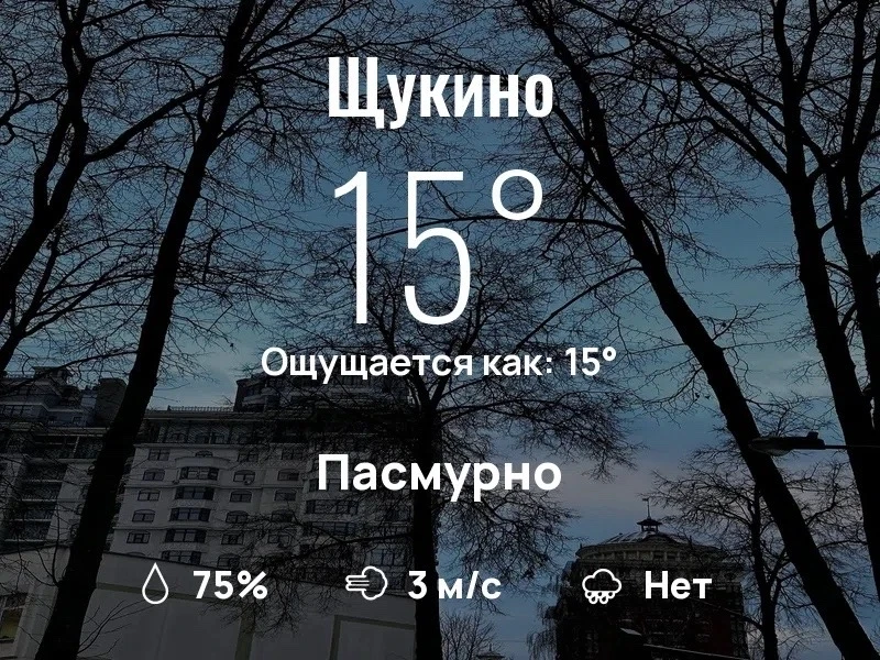 Что с погодой в Щукино?