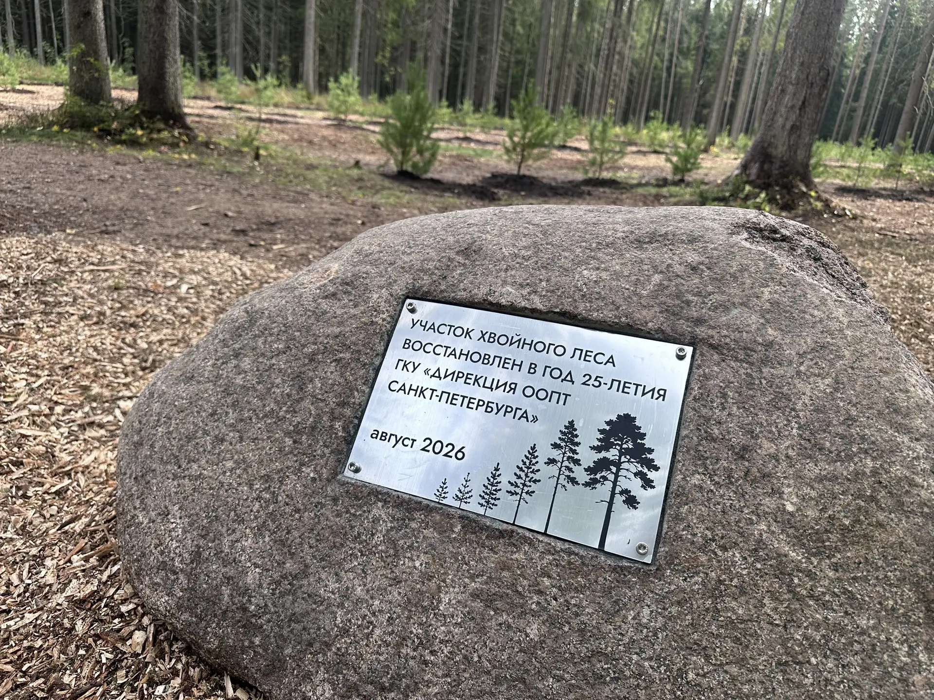 🌳 По случаю юбилея Дирекции ООПТ Санкт-Петербурга вместе с председателем Комитета по п...