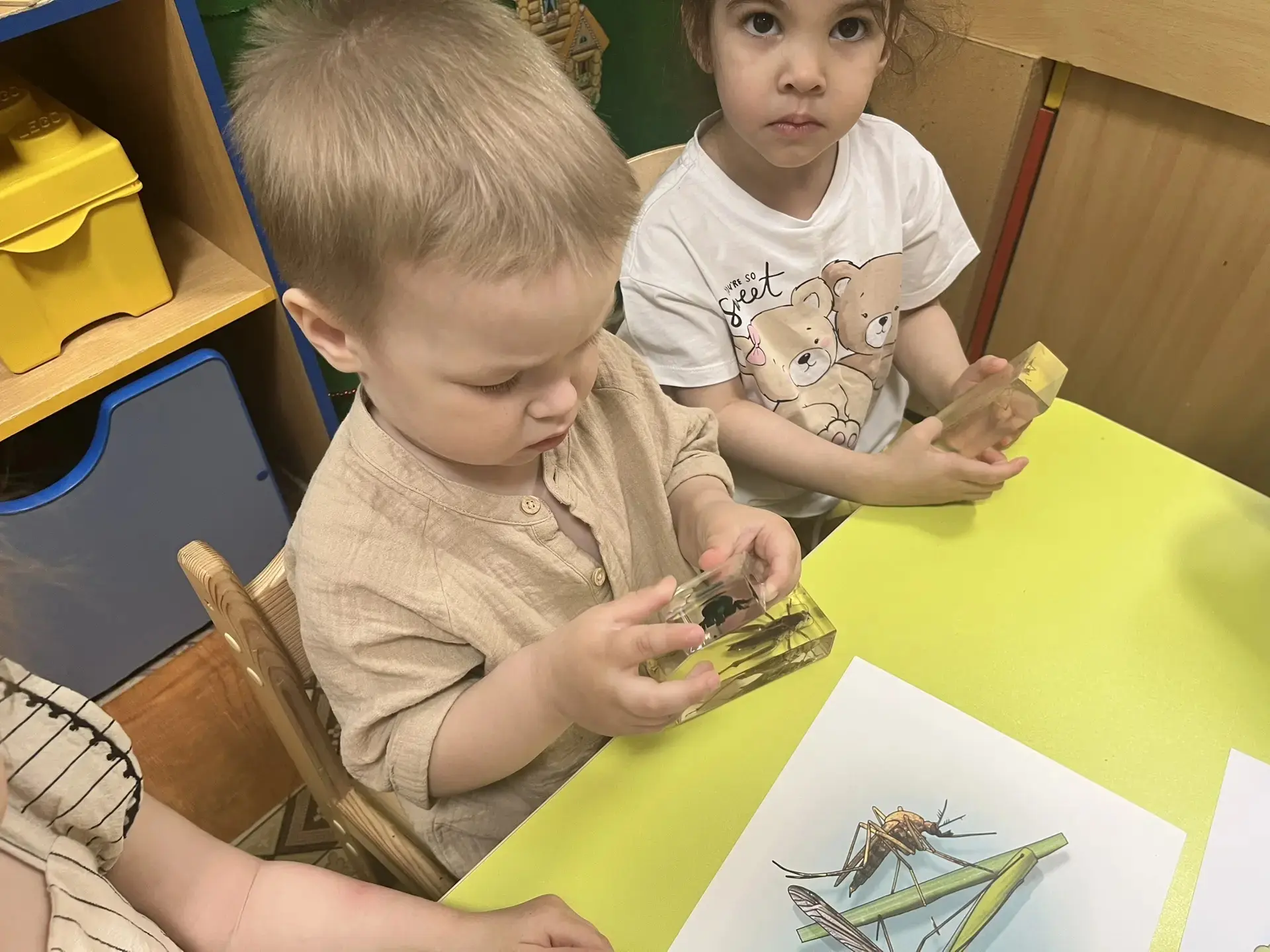Сегодня прошло трогательное и эмоциональное 🐞 Знакомство с удивительным миром жуков в ...