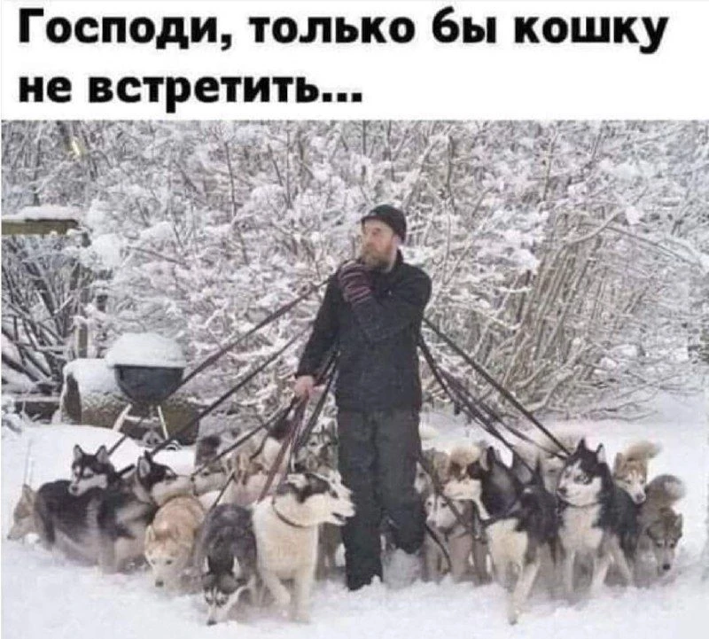 АНЕКДОТЫ ДЛЯ ВЗРОСЛЫХ 🍒