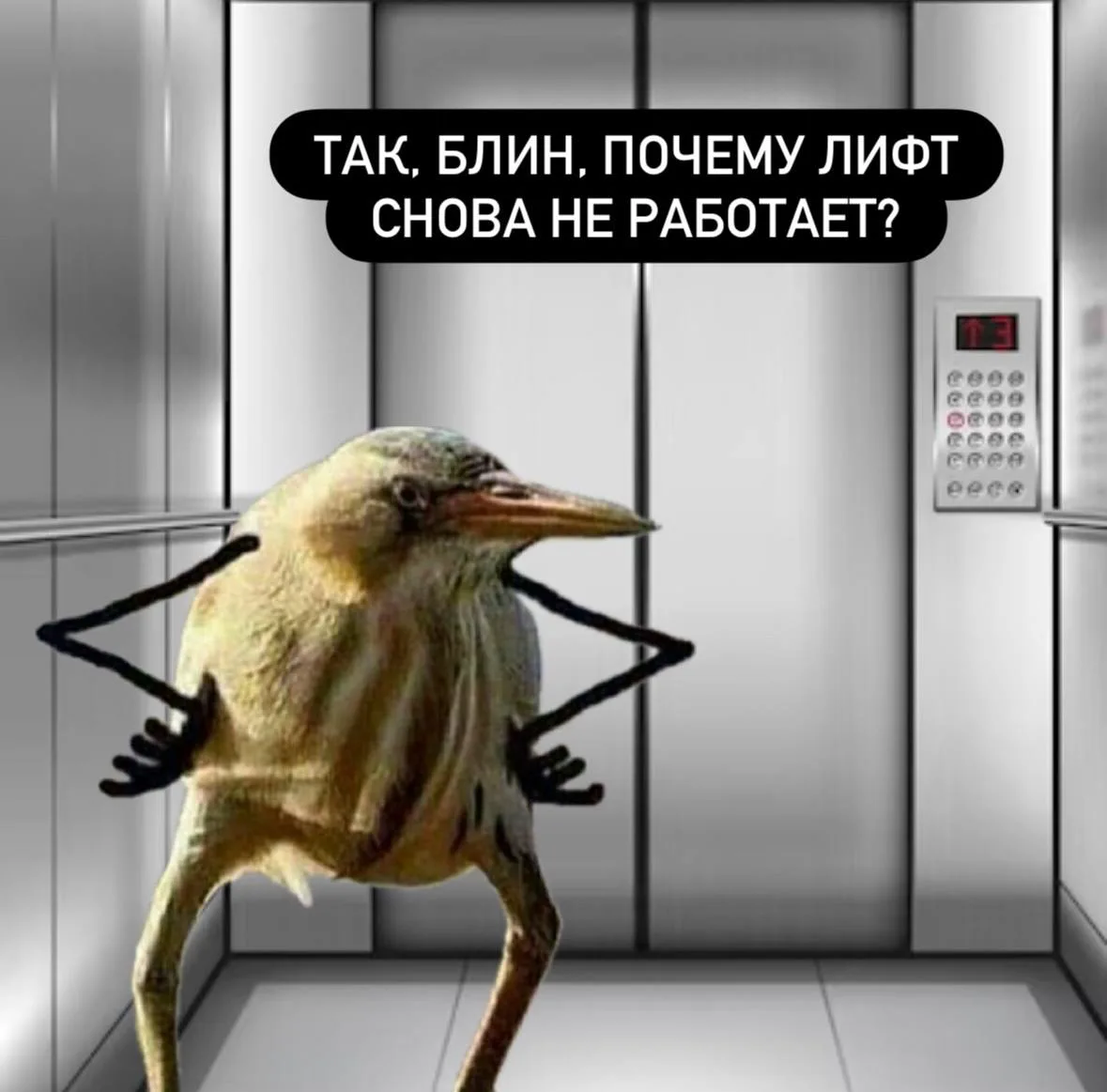 🤔 А у нас вопросики… Сосед Даниил Захаров пишет, что в переходе через МКАД (66 км) око...