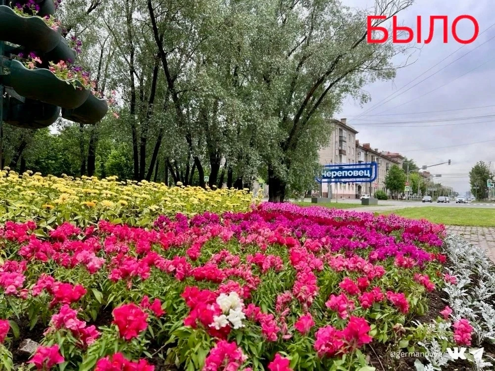 #БылоСтало 
Было: городские клумбы в июне 2022-го и 2024-го.
Стало: городские клумбы в июне 2026-го.
