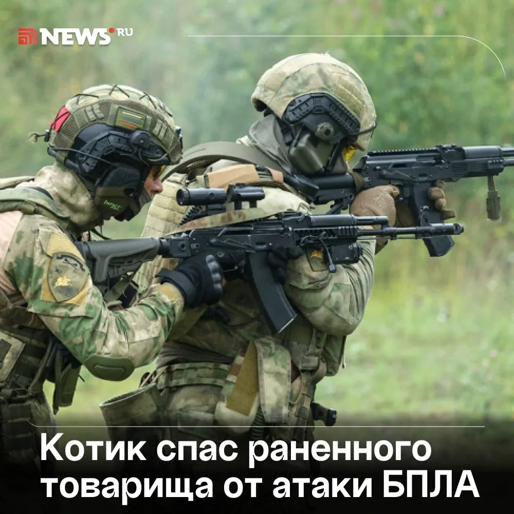 Изображение 1 к публикации «News.ru»