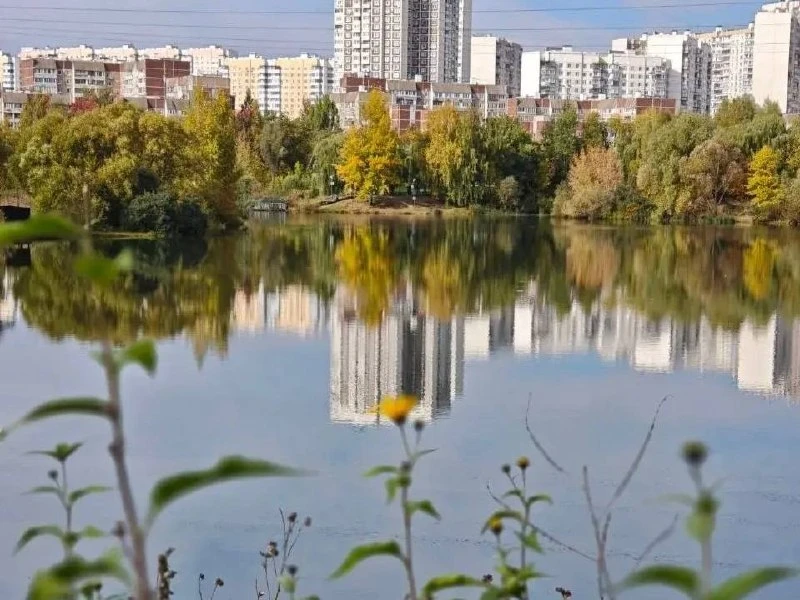 🍂 Осень в Ландшафтном парке «Митино»