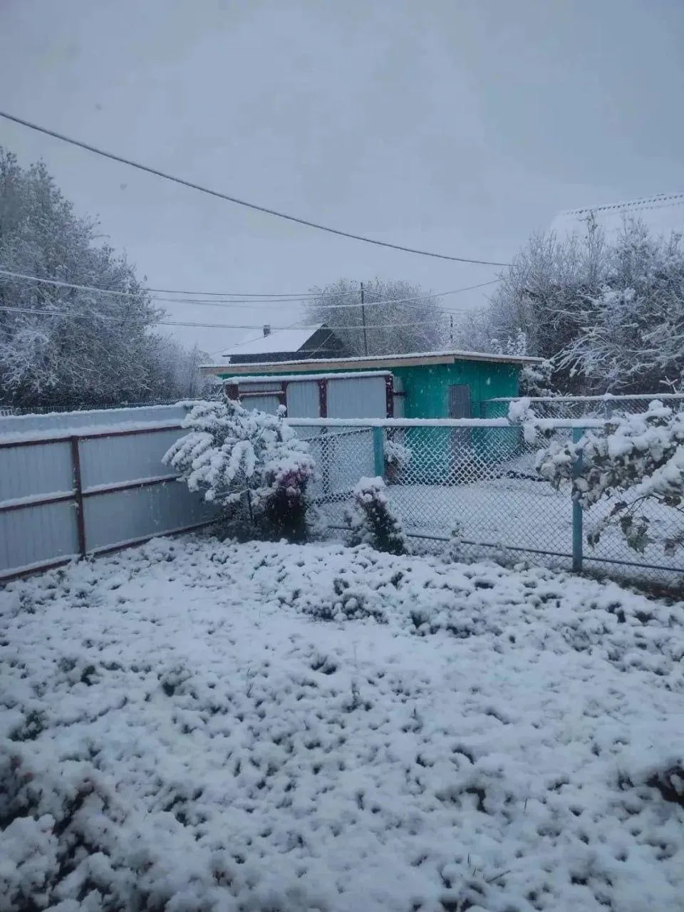 ❄️ В соседний Башкортостан пришла настоящая зима