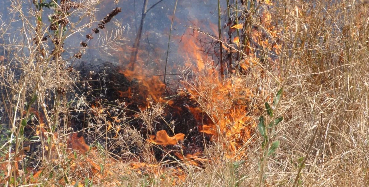 На минувшей неделе в Ростове было зафиксировано 10 возгораний мусора