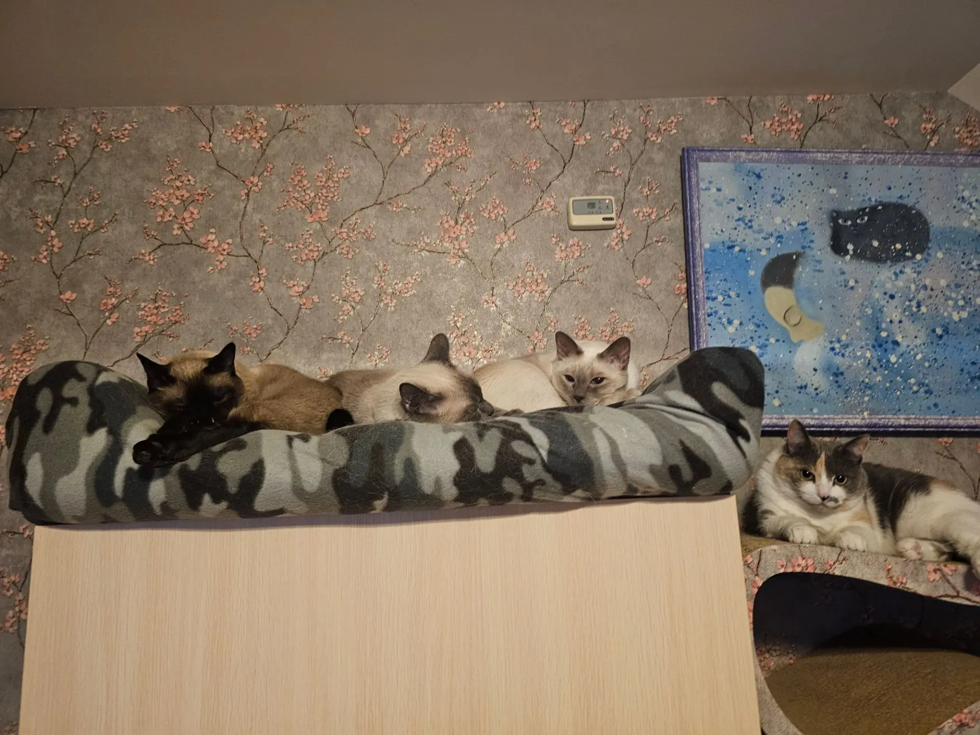 5 утра. Все спят... почему-то. 😁😁😁