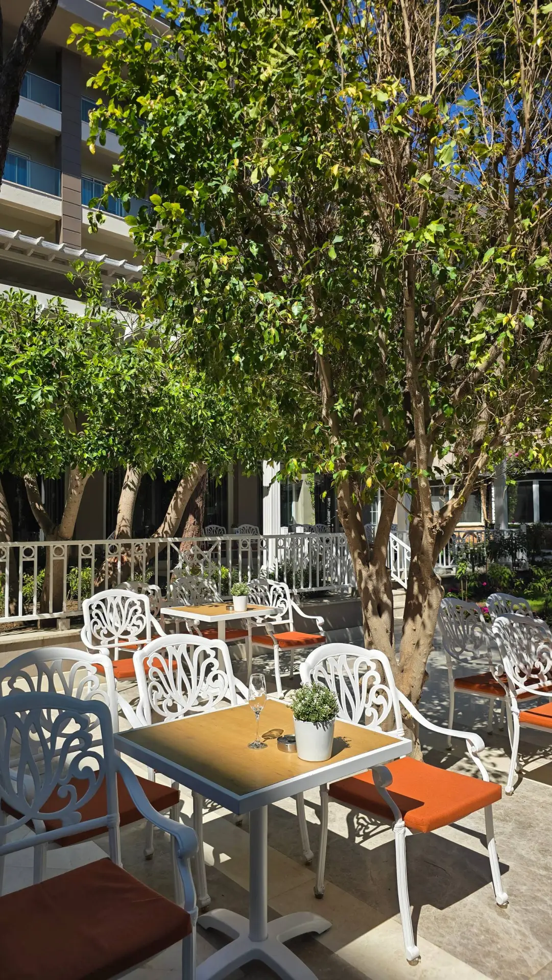🌿 Белек среди сосен и эвкалиптов