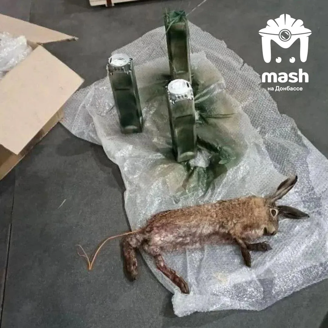 ❗️Даже туша на обочине может оказаться ловушкой