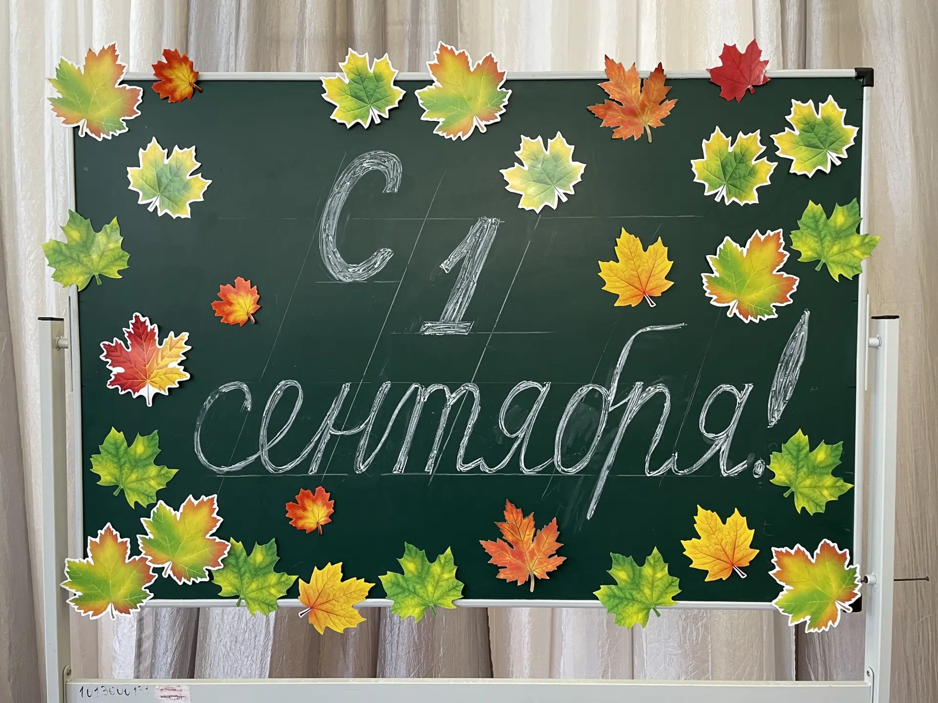 С Днём знаний! 📚🍂