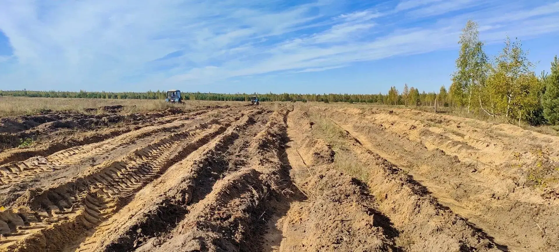 🌿 Фотосинтезировать на максималках будет особенный лес в Добровском округе.