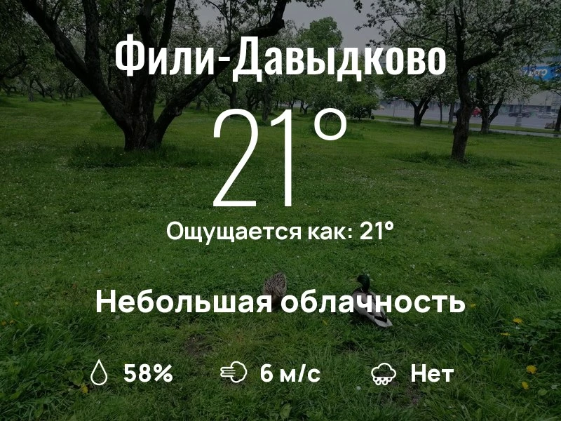 Что с погодой в Фили-Давыдково?