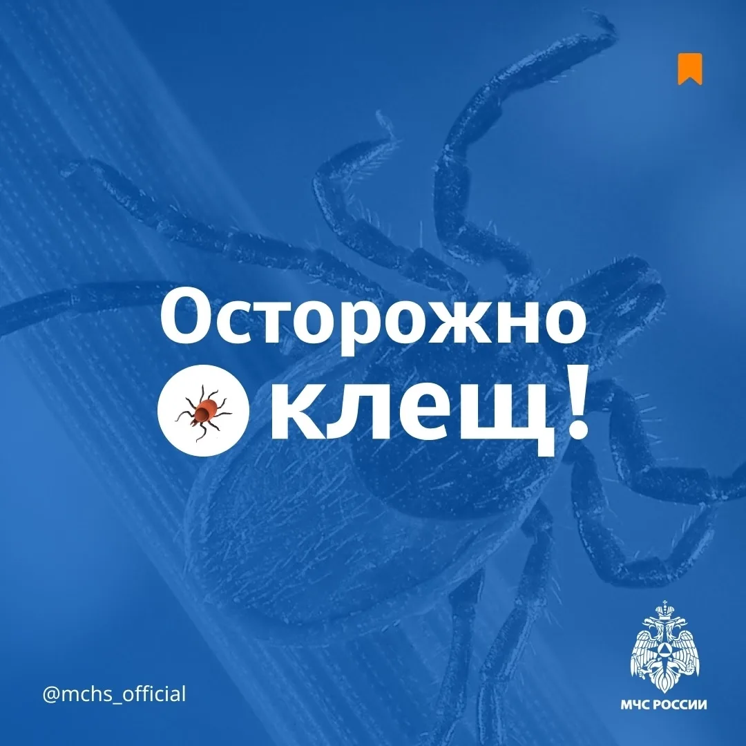 Весна...выглянуло солнышко: лес, парк, дача… и клещи!