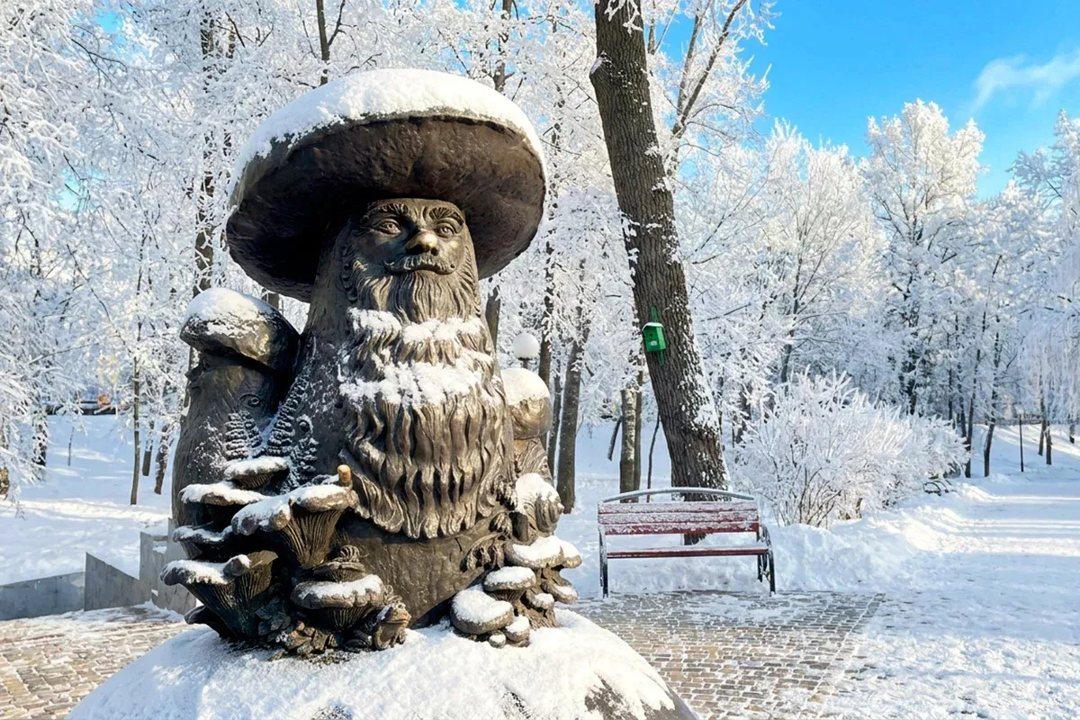 🧩 Где грибы ходят на свидания, а медведи летают в космос?