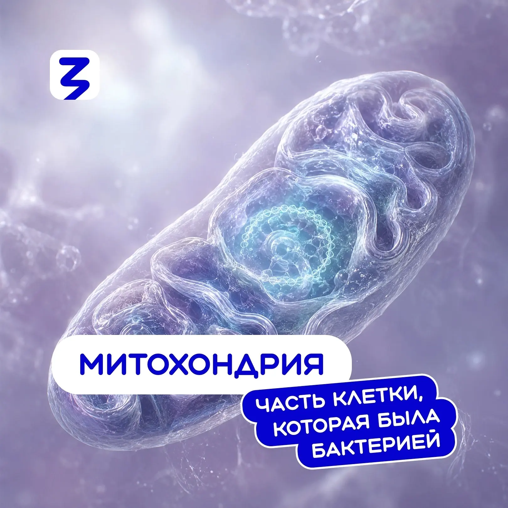 🤔 А вы знали, что🔋 за сутки организм человека вырабатывает столько молекул АТФ, сколь...