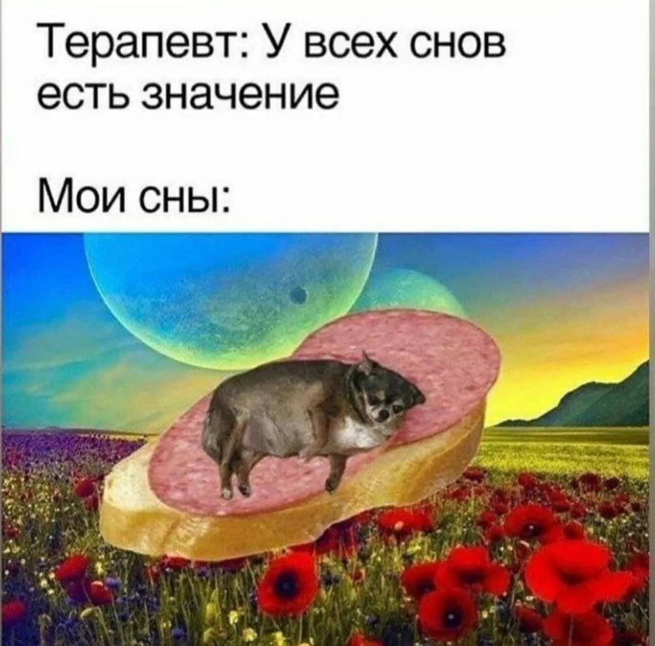 #drunkfashionmeme