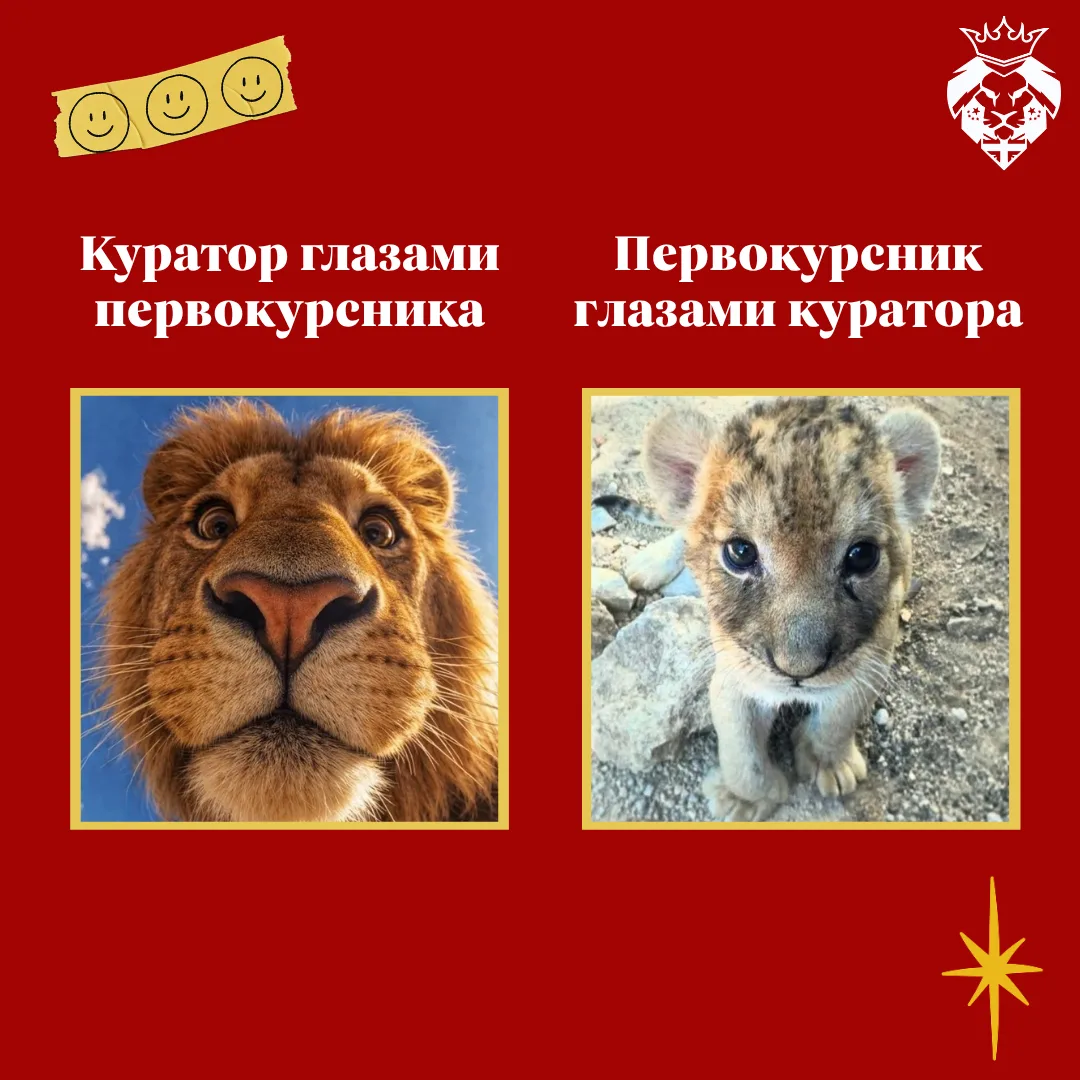 Поступившие в кадре