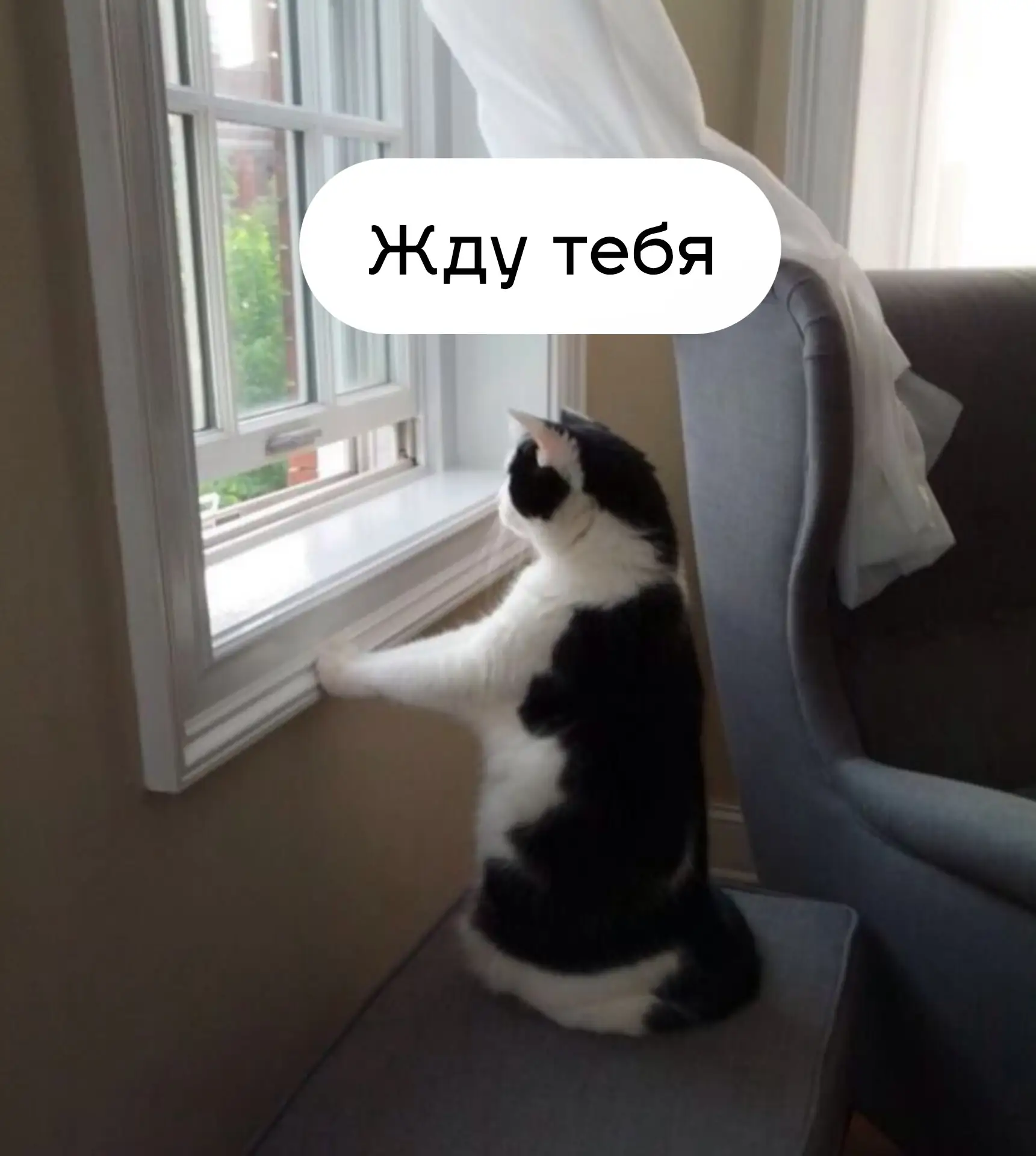 Стоматолог-терапевт, Питер.