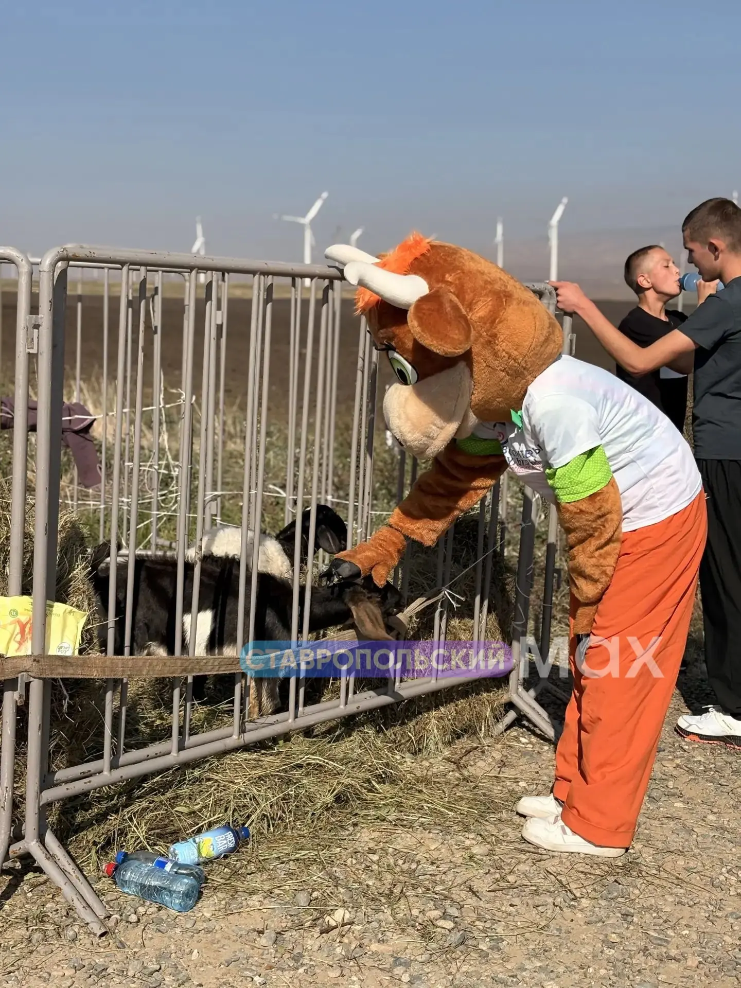 🏃‍♀️‍➡️️ «Энергия ветра-2026» — в Кочубеевском округе прошёл массовый забег.