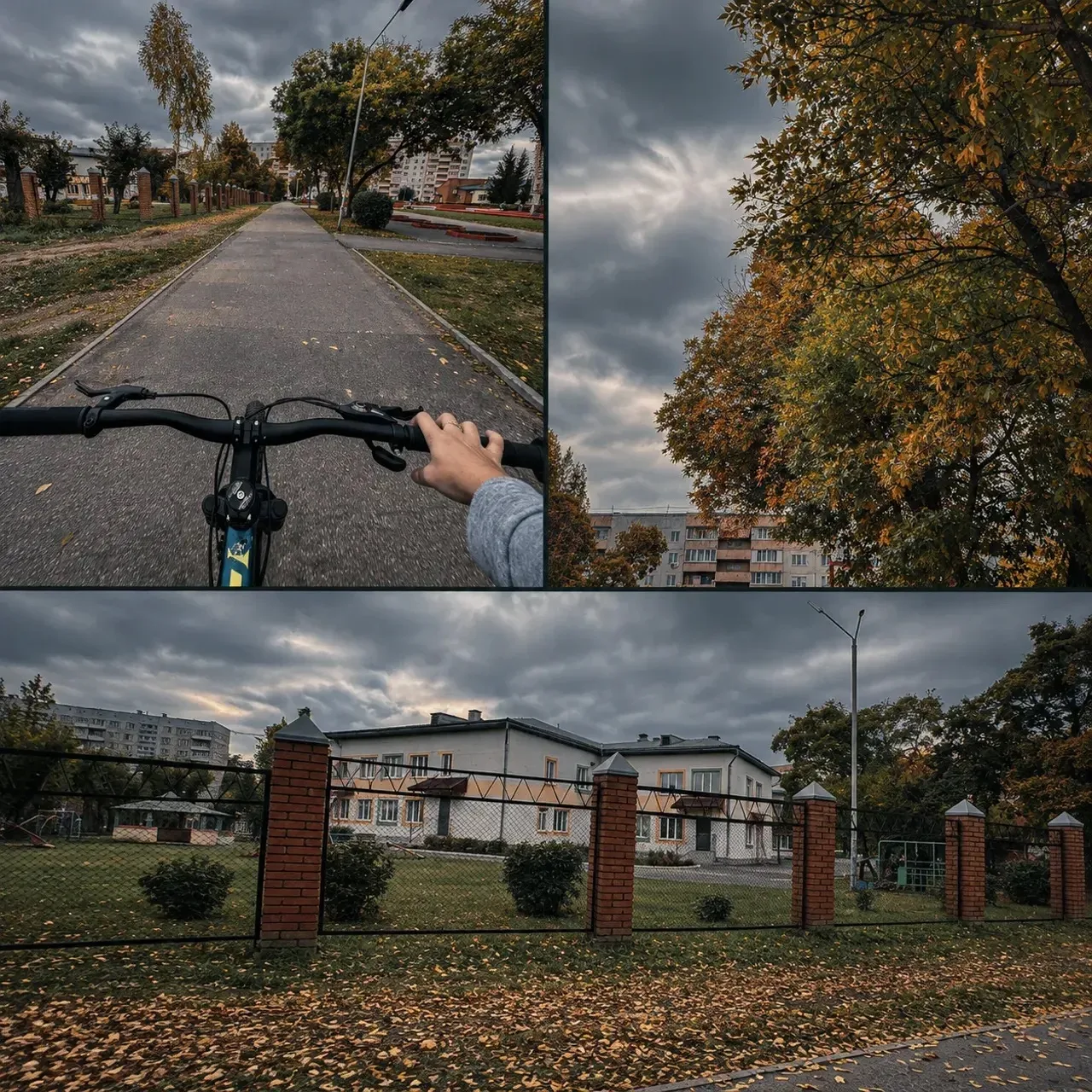 Осень 🍂