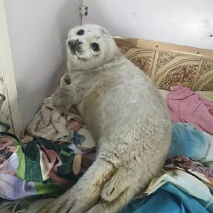 Можно,я посижу сегодня дома , пожалуйста