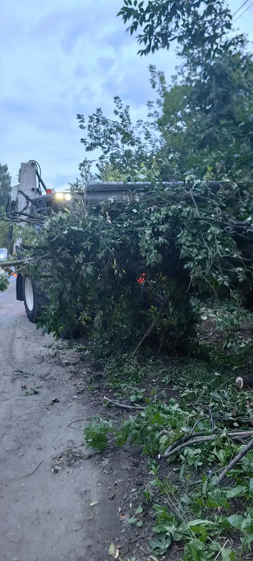 🌩Ух, погодка и разбушевалась...