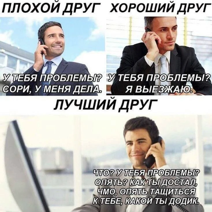 Ставропольцы, сегодня празднуется международный День дружбы 🤝